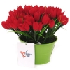 Декоративная композиция "Тюльпаны в горшочке", цвет: красный, 13 см Производитель: Великобритания Артикул: FF NX-81KH инфо 7294v.