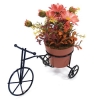 Декоративная композиция "Цветы в горшочке на подставке-велосипед", цвет: розовый, 19 см Производитель: Великобритания Артикул: FF NX105KС инфо 7300v.