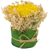 Декоративная композиция "Розы в горшочке", цвет: желтый, 10 см см Производитель: Великобритания Артикул: NX0452KX инфо 7315v.