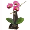 Декоративная композиция "Орхидея", цвет: ярко-розовый, 18 см х 9 см Артикул: 5016 инфо 7336v.