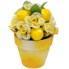 Декоративная композиция "Цветы и фрукты в горшочке", цвет: желтый, 12 см см Цвет: желтый Производитель: Великобритания инфо 7360v.