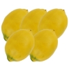 Набор муляжей "Лимон", 5 шт шт Изготовитель: Китай Артикул: 17947 инфо 7437v.
